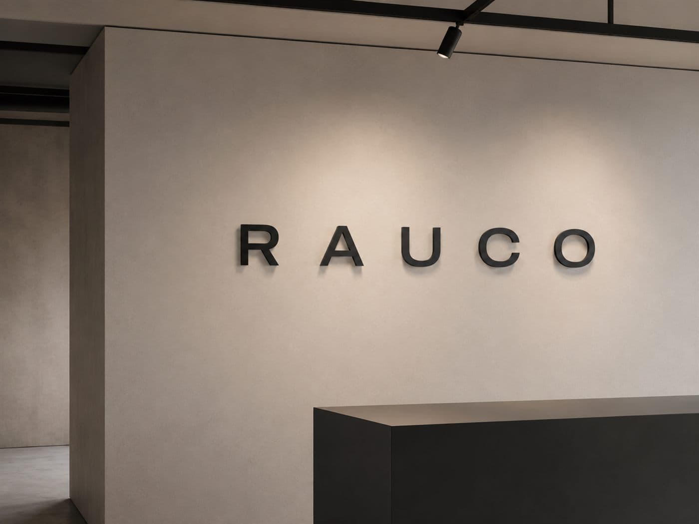 Рабочая зона производственного цеха RAUCO 500 м²